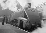 PICTURING THE PAST (Pack of 10): The Golden Age of Steam. ML0146